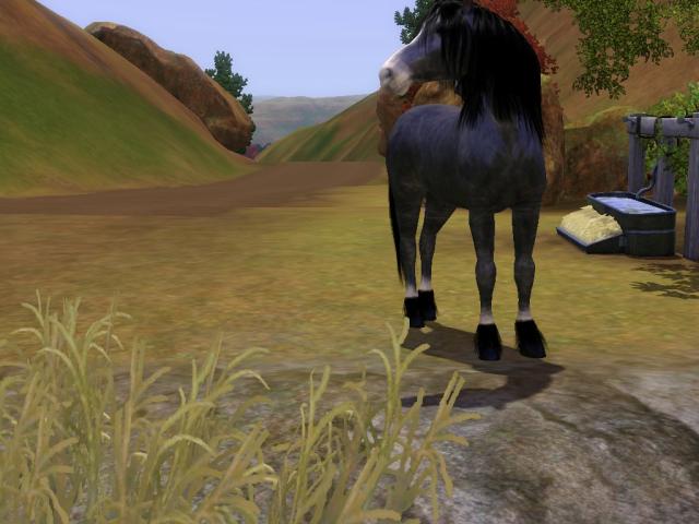 Wpis swiatsims0w