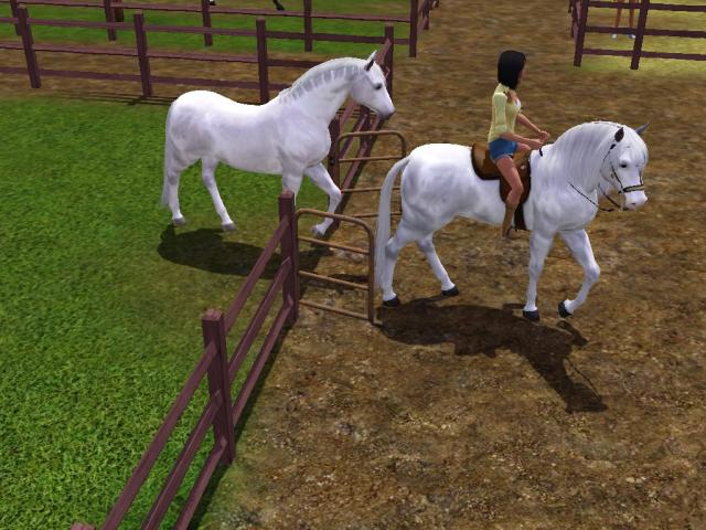Wpis swiatsims0w