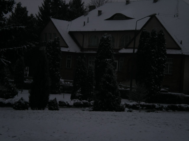 Zimaa