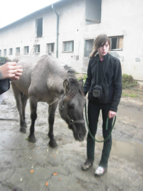 Wpis gallopbytheworld