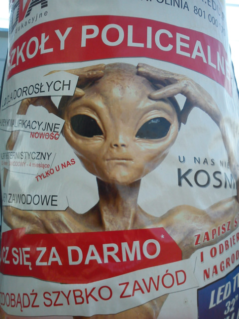 thisistytudziffko