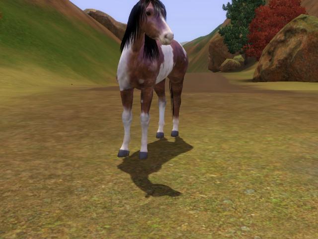 Wpis swiatsims0w