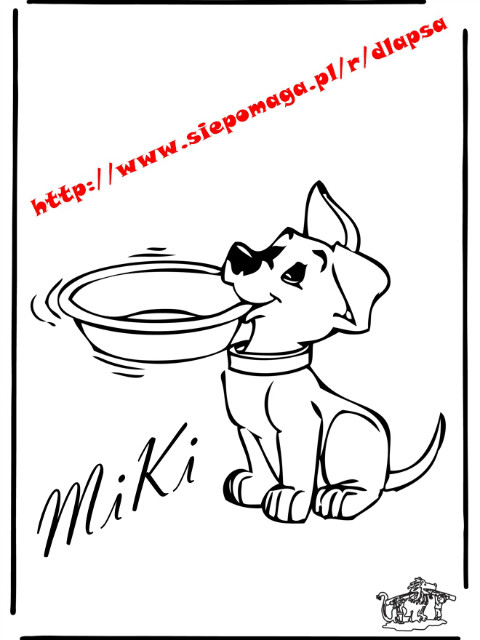 http://www.siepomaga.pl/r/dlapsa