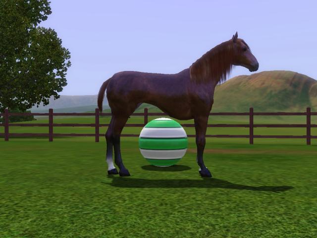 Wpis swiatsims0w