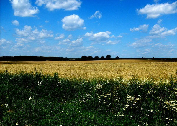 Przestrze 