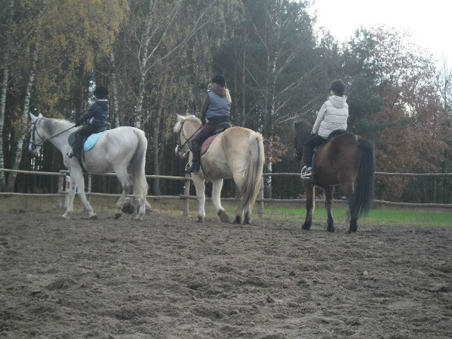 Zastp :)