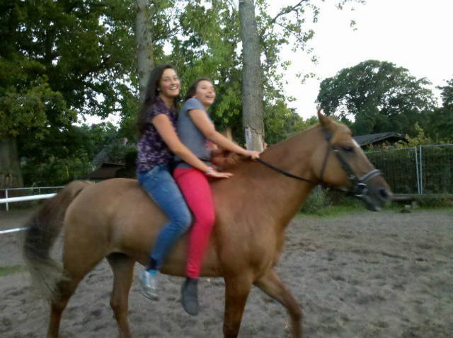 Julia & Me 