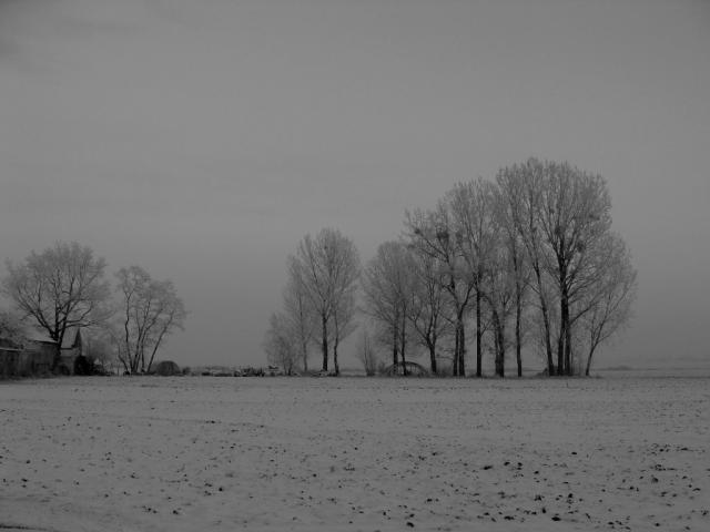 Forgotten Landscapes...