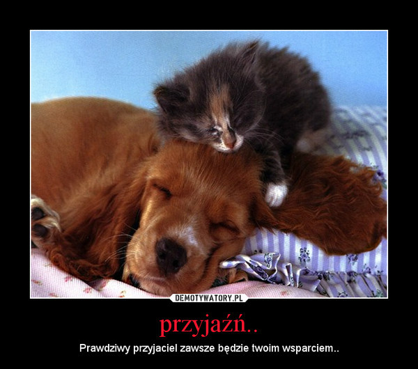 Wpis gwizduniax33