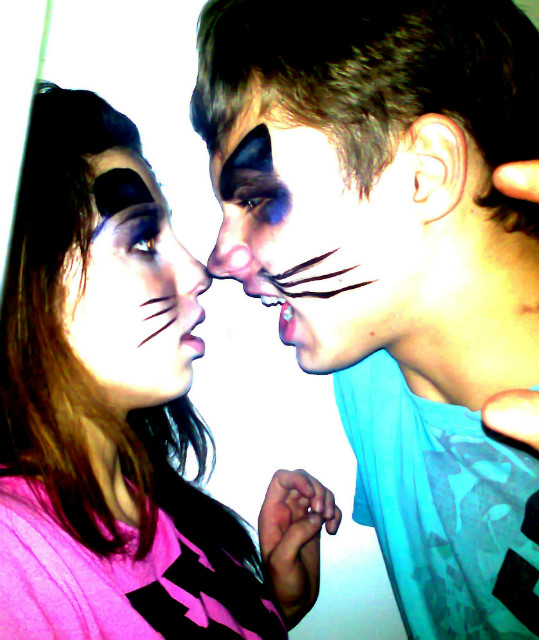Te quiero gato