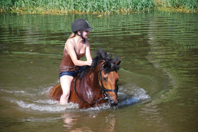 Wpis clasiccreature