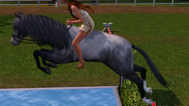 Wpis thesimshorses