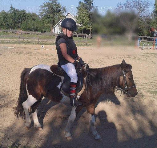Kacper (kuc pony)