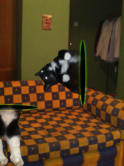 Portals