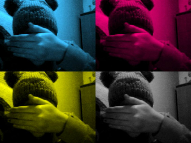 Roockmeout