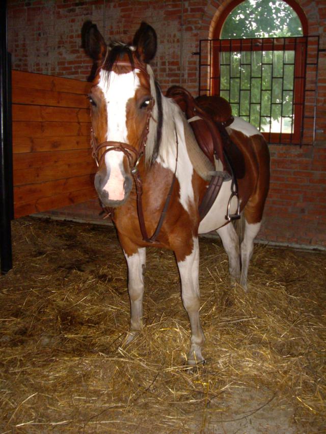 ^^Arba^^