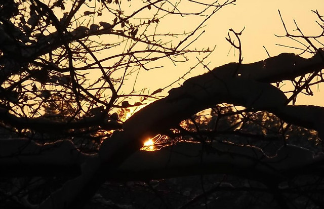 sun.