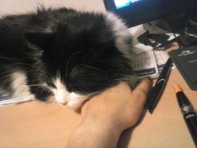 kiedy...