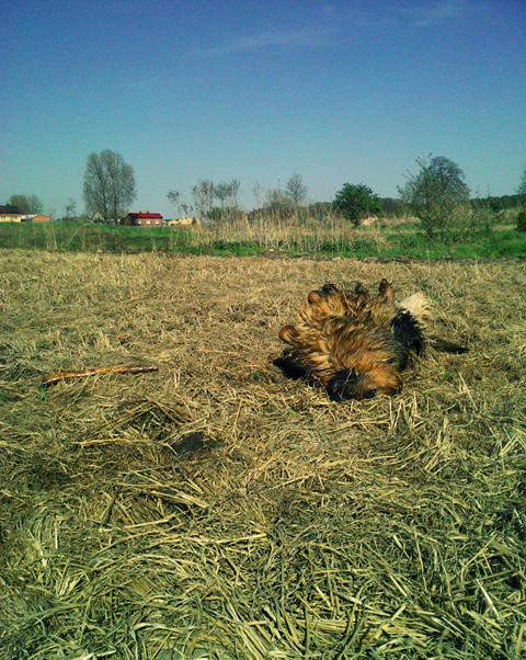 ~ . mokra april. 