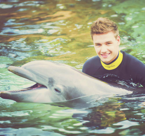 Wpis onedirectionimaginyy