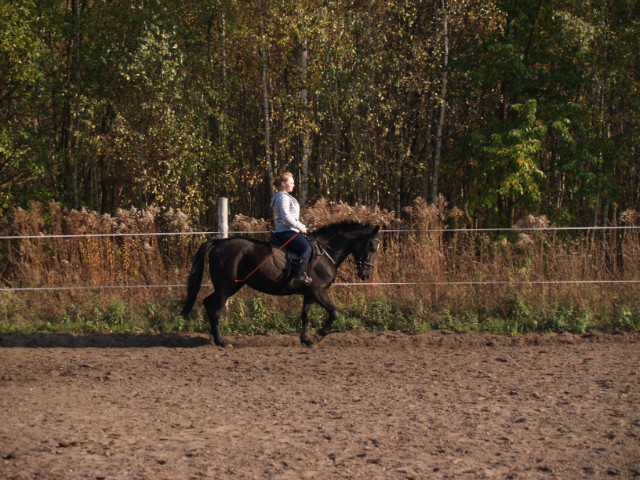 Wpis jumpingteamg