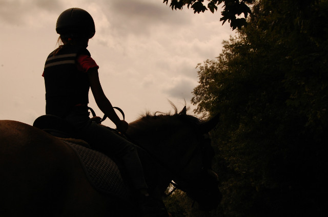 Wpis gallopbytheworld