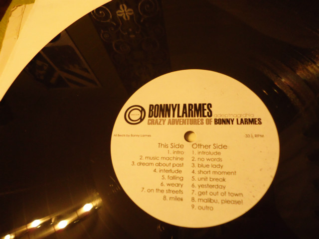 Crazy Adventures of Bonny Larmes