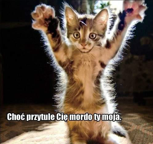 Wpis lolciaaaxdd