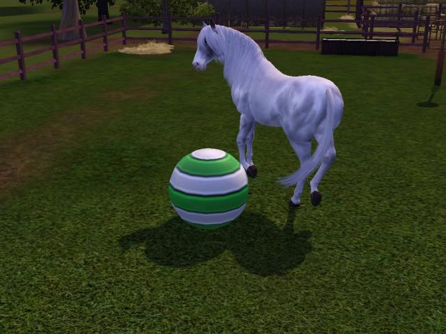 Wpis swiatsims0w