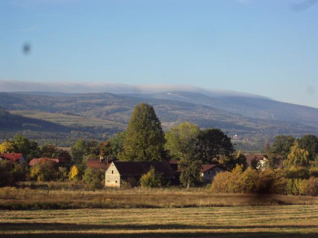 rbiszw.