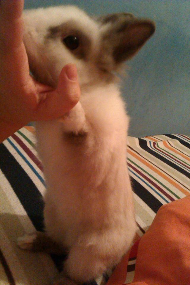 ;)