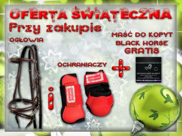 Oferta 4