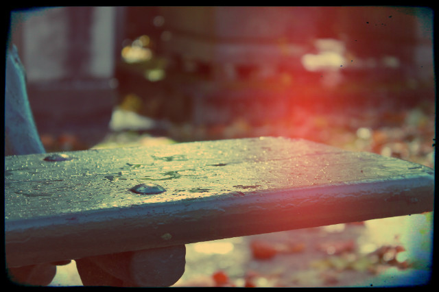 From November