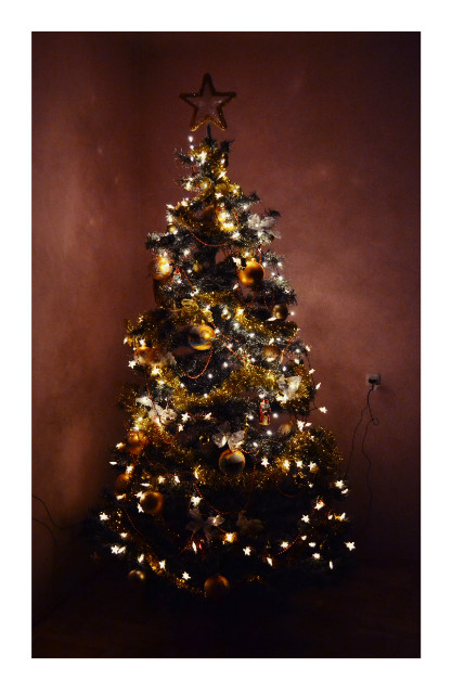 christmas tree