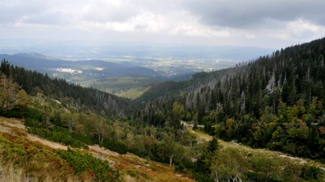 Wpis karol071094