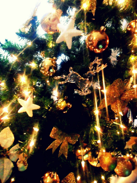 Merry Christmas Everyone! :*