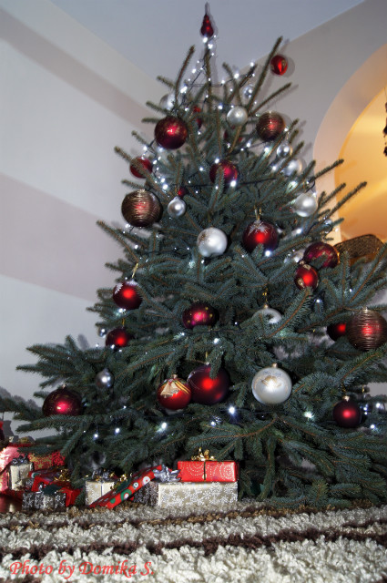 Merry Christmas. 