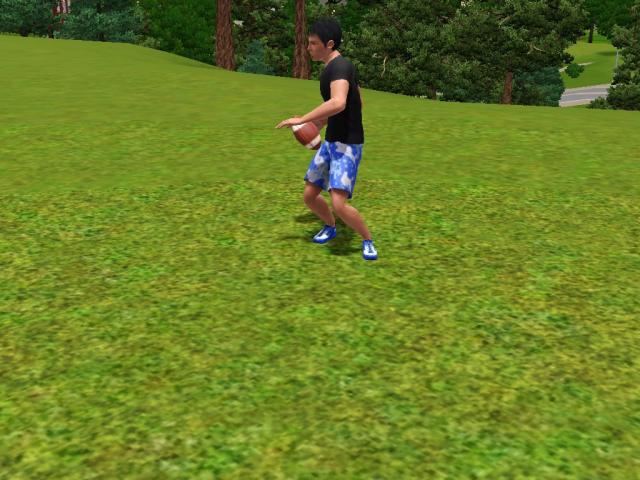 Wpis swiatsims0w