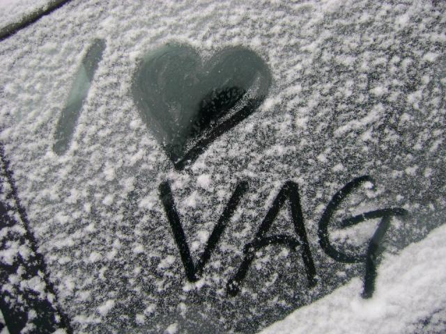 Volkswagen&#9829;
