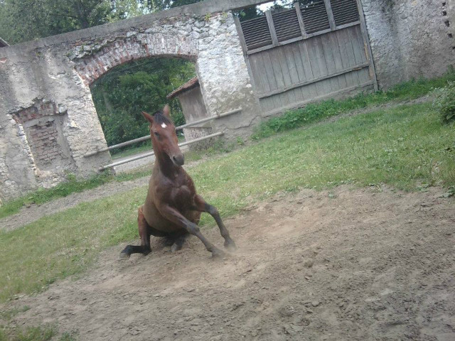 Co lubimy po cikiej pracy :D