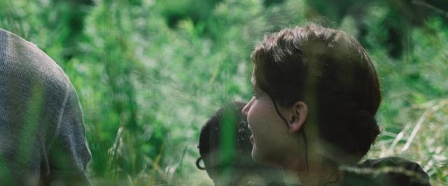 Wpis thehungergames