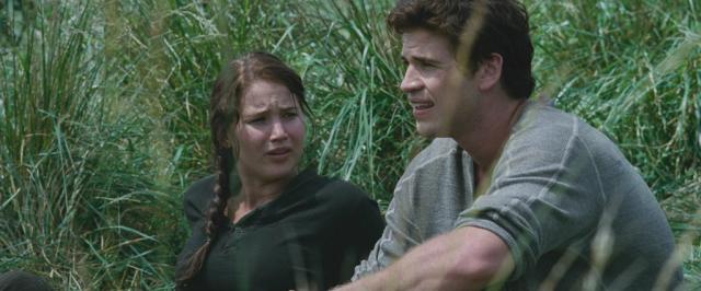 Wpis thehungergames