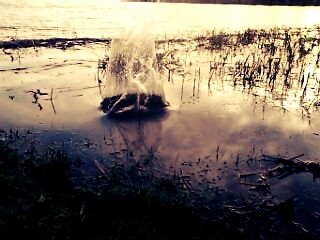 Lato 