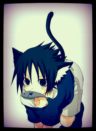 Szaszuke *____*