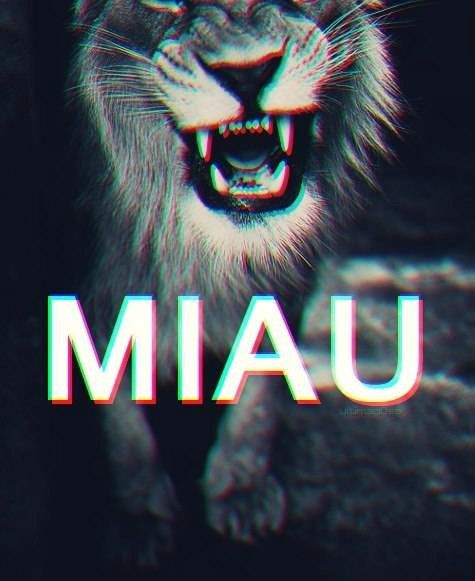 Wpis tusiaaxp