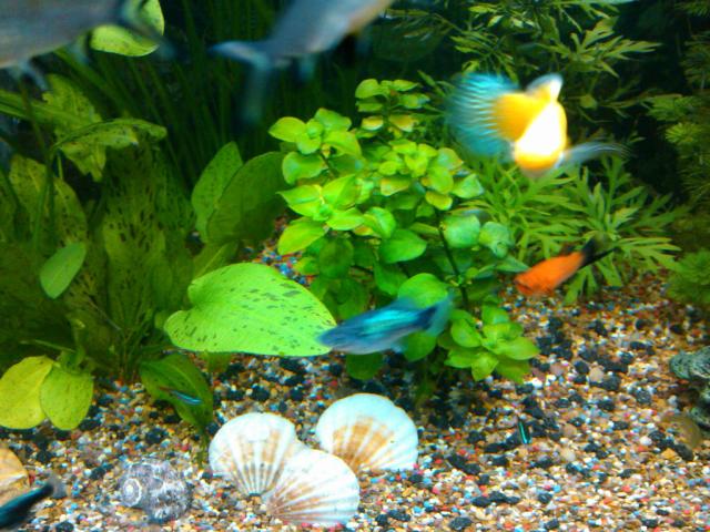 Wpis oliwiasoliwoda