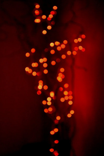 bokeh