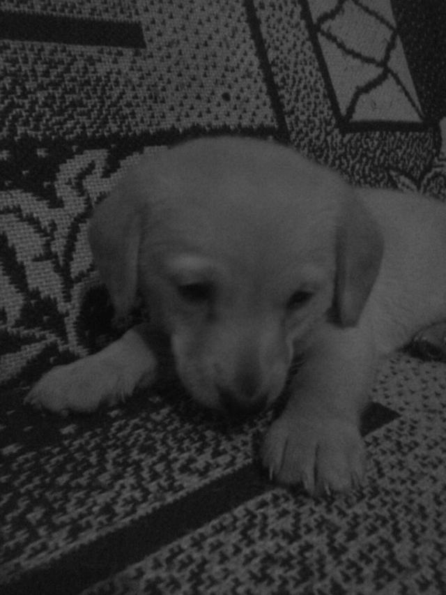 Wpis madziuuuuu