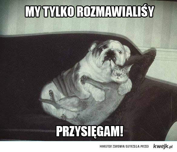 Wpis xyz3