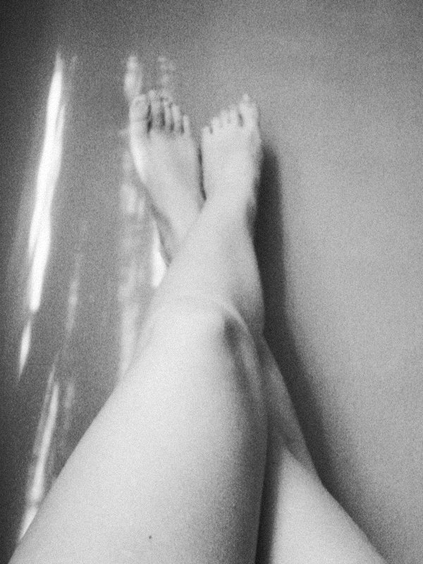 Wpis gingerova